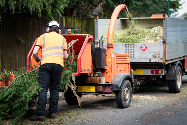 Best Leaf Removal  in Gearhart, OR