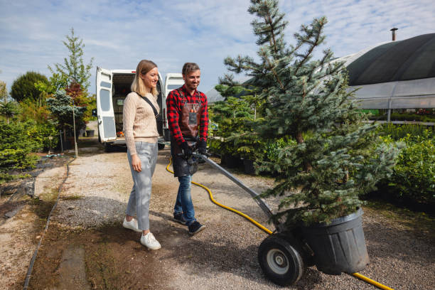 Best Tree Mulching  in Gearhart, OR